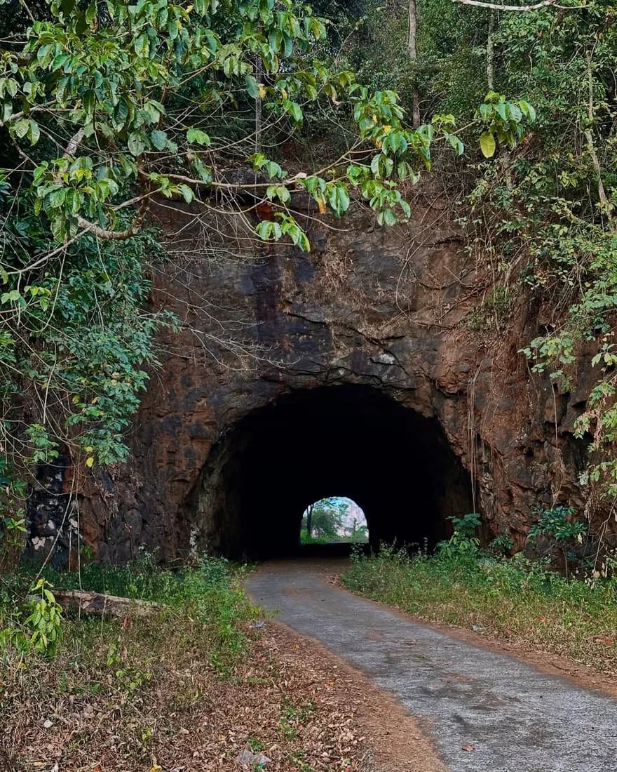 A tunnel through the forest on the approach route to Idamalayar