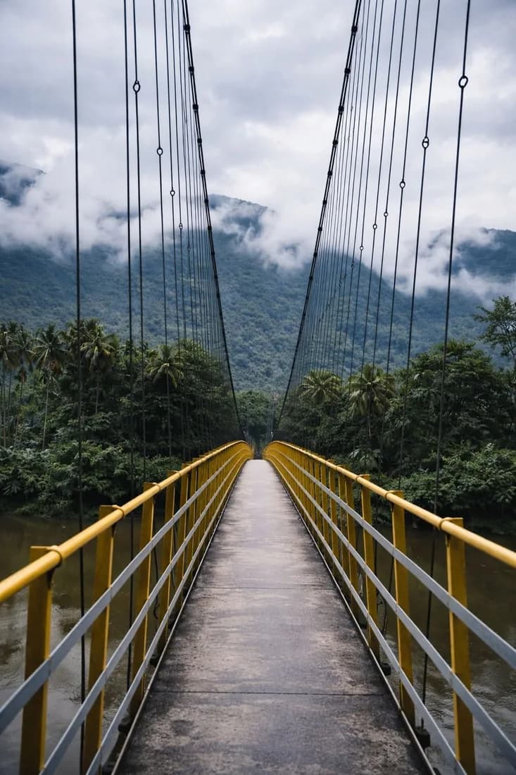 The walkway of Inchathotty Hanging Bridge extending across the river