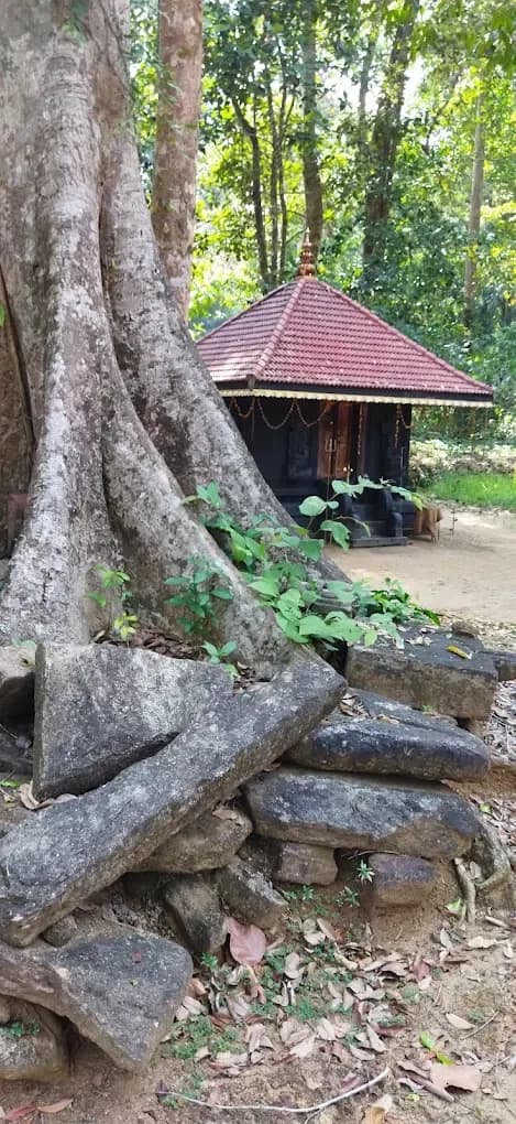 Knachary Sree Durga Temple nestled among the roots and trees of the forest