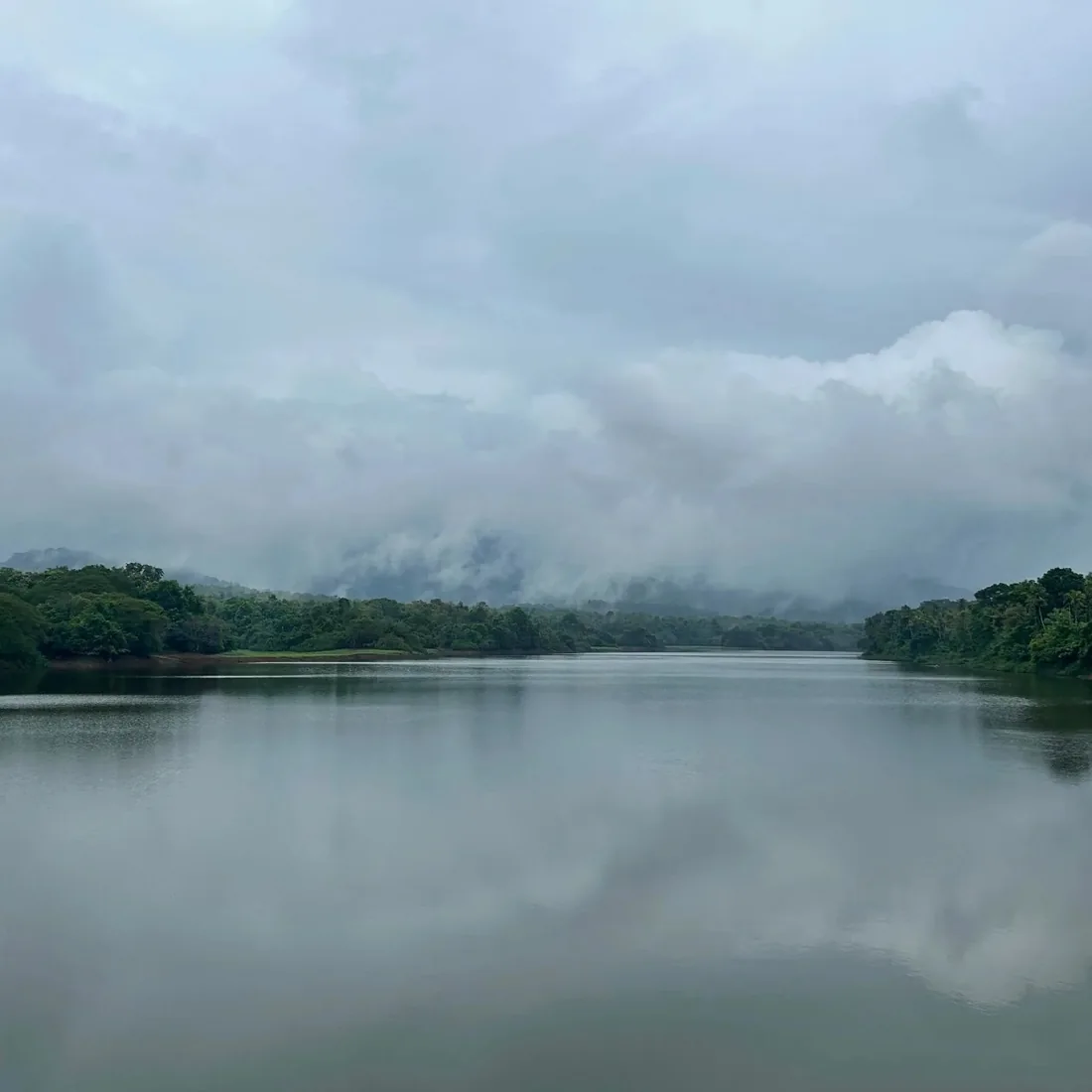 Misty hills and wooded banks reflected in the water at Thattekkad